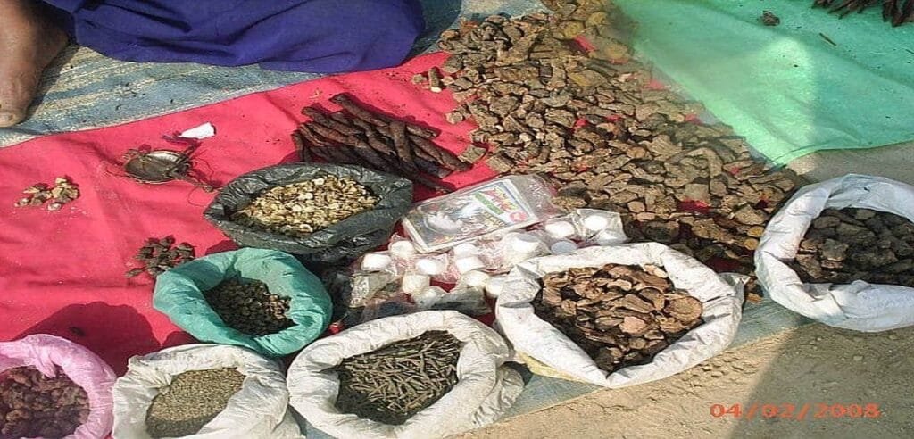Local herbs