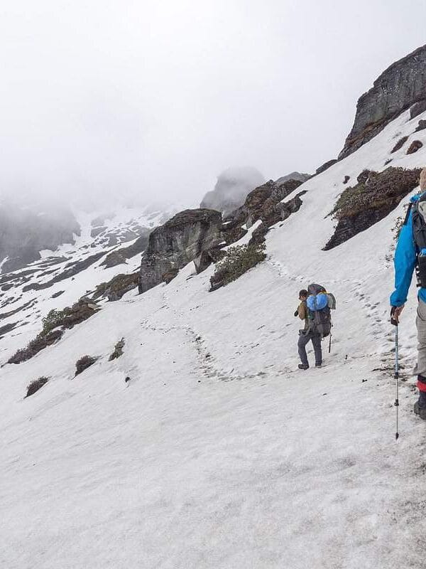Springtime trek to Makalu Base Camp with blooming alpine flowers and clear mountain views in Eastern Nepal