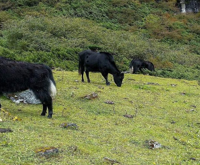 Rural scene of MBC trek