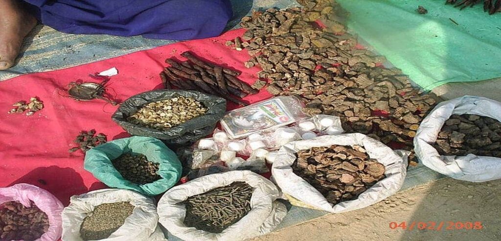 Different kinds of Herbs to be found in Arun Valley Area in Nepal