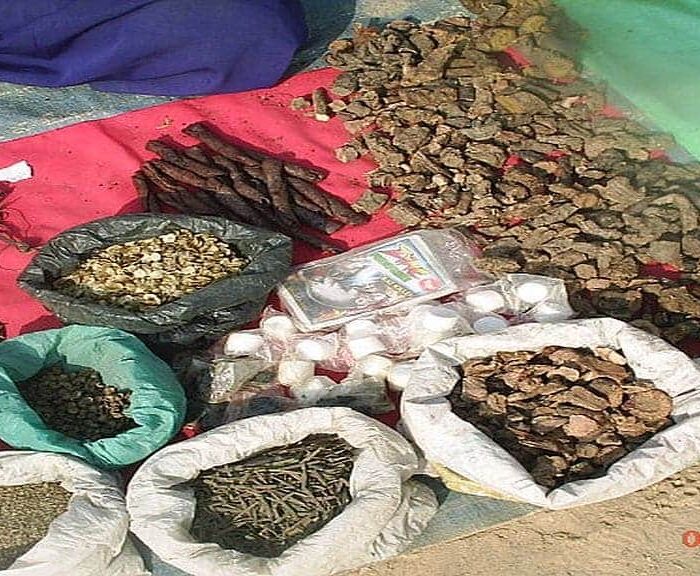 Different kinds of Herbs to be found in Arun Valley Area in Nepal