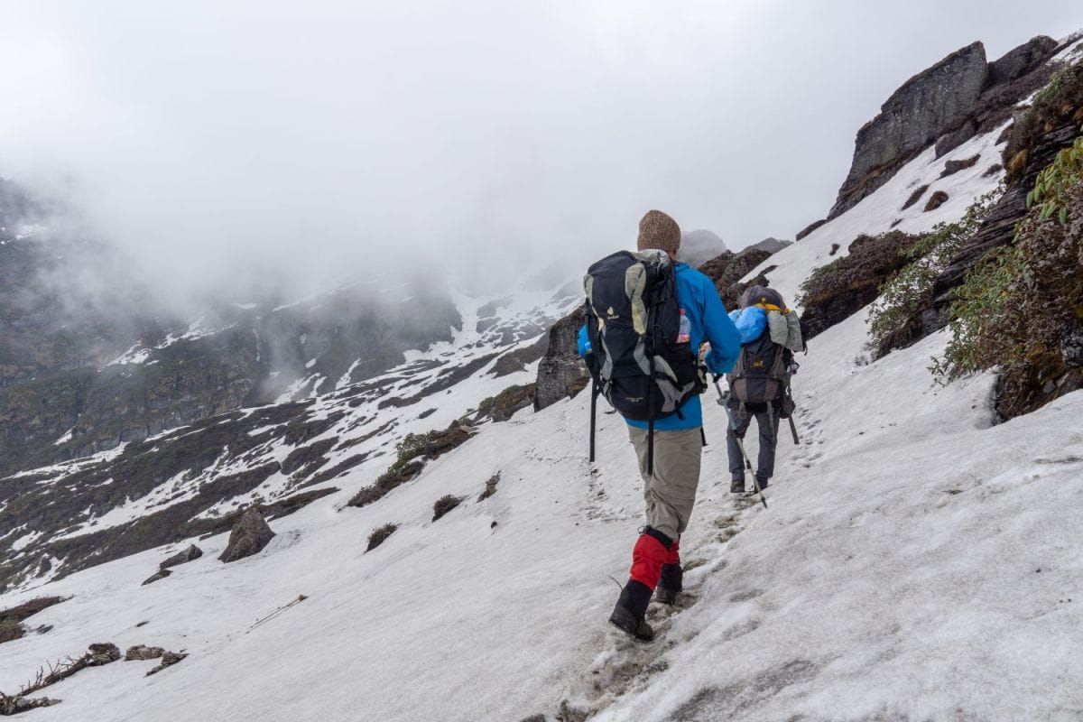 Makalu trekking in the spring season with flowering rhododendrons