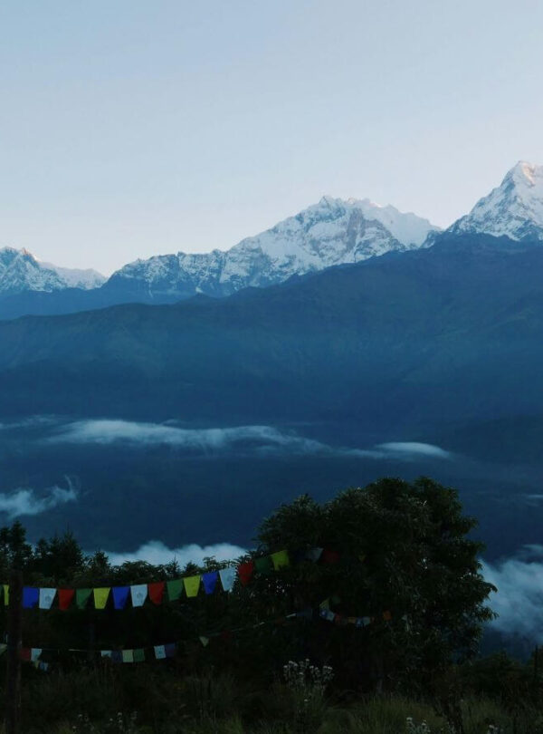 Annapurna South and Hiunchuli above a sea of clouds at dawn, with colourful prayer flags on Poon Hill, Ghorepani Poon Hill Trek, Nepal