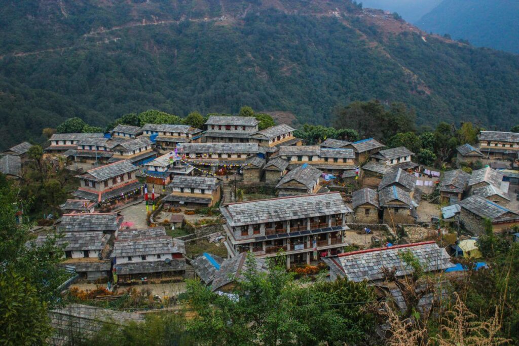 Traditional stone-roofed Gurung houses of Ghandruk village on a forested hillside, Ghorepani Poon Hill Trek, Nepal