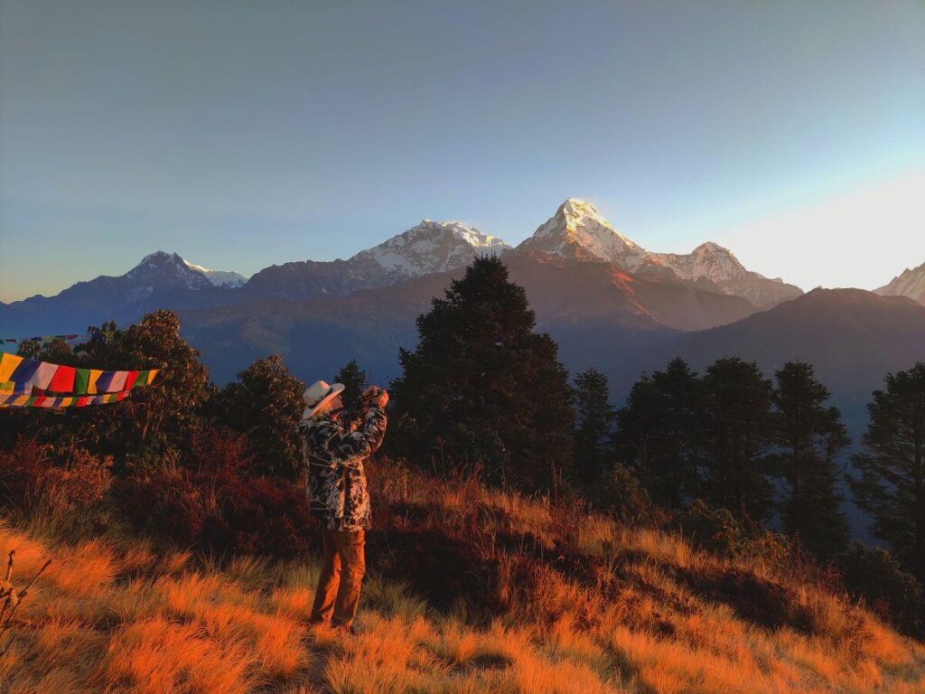 Trekker photographing the Annapurna range glowing at sunrise from Poon Hill, with prayer flags and golden grass, Ghorepani Poon Hill Trek, Nepal