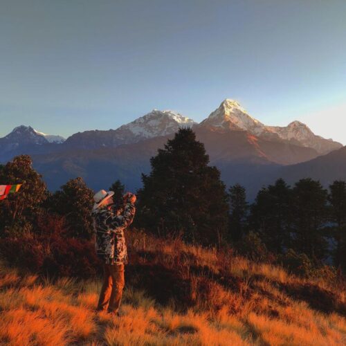 Trekker photographing the Annapurna range glowing at sunrise from Poon Hill, with prayer flags and golden grass, Ghorepani Poon Hill Trek, Nepal