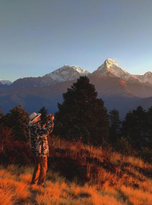 Trekker photographing the Annapurna range glowing at sunrise from Poon Hill, with prayer flags and golden grass, Ghorepani Poon Hill Trek, Nepal