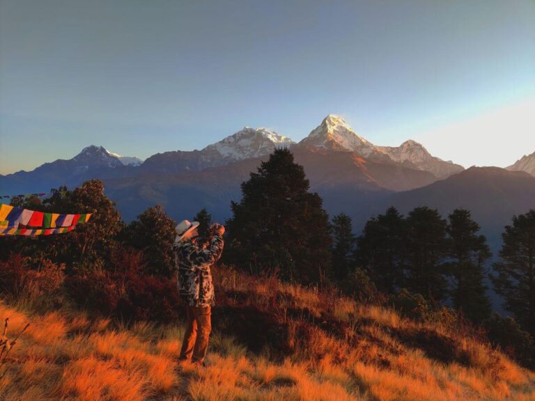 Trekker photographing the Annapurna range glowing at sunrise from Poon Hill, with prayer flags and golden grass, Ghorepani Poon Hill Trek, Nepal
