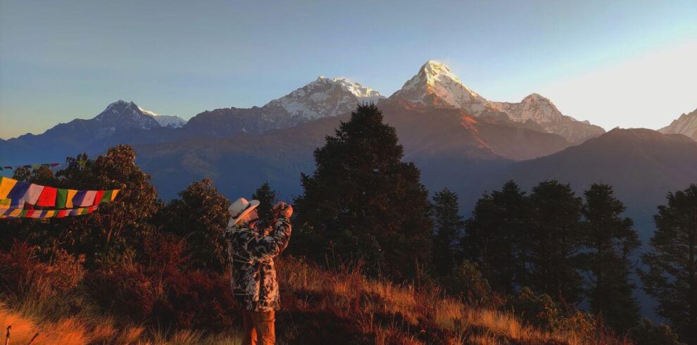 Trekker photographing the Annapurna range glowing at sunrise from Poon Hill, with prayer flags and golden grass, Ghorepani Poon Hill Trek, Nepal